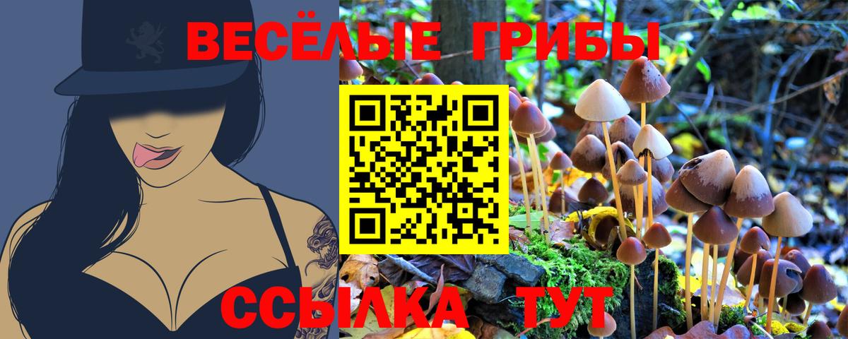 Галлюциногенные грибы мухоморы Киров